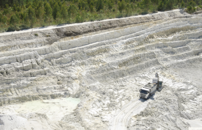 MCS<sup>®</sup> Dna